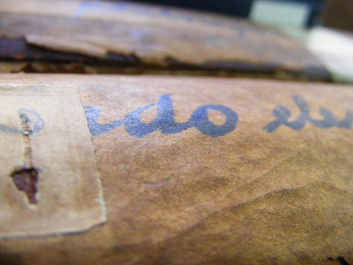 biblioteca 005 copy.jpg